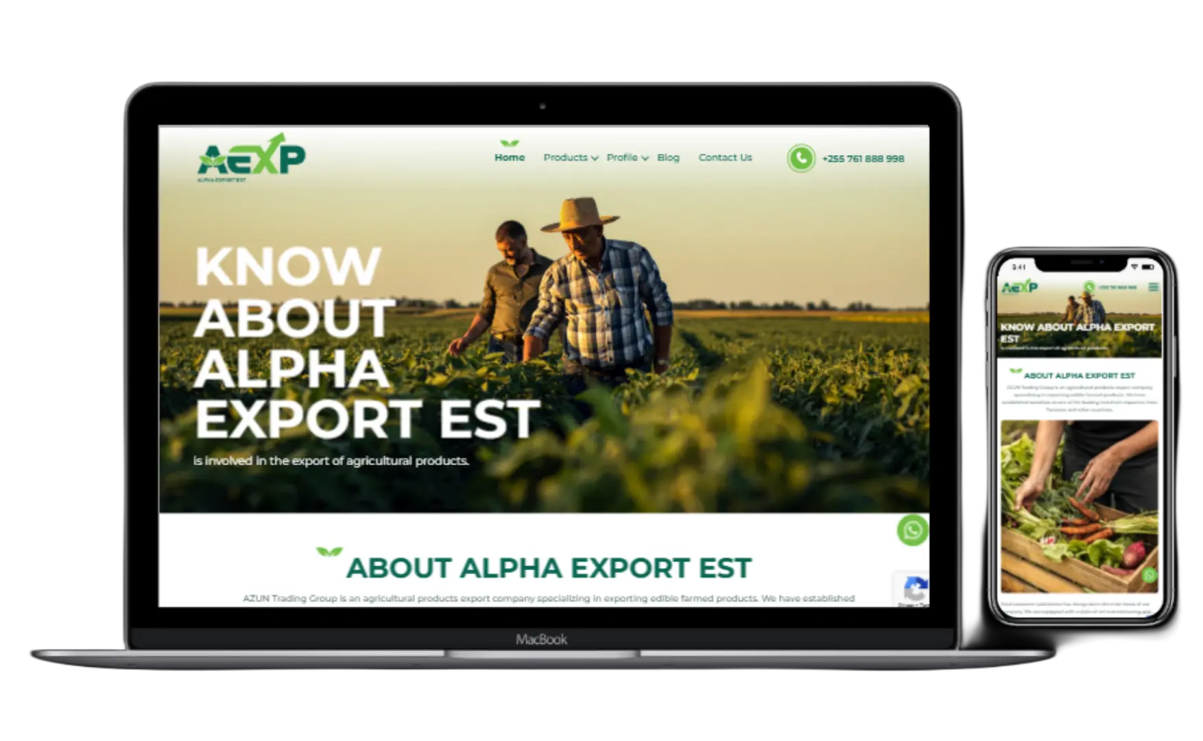 Export Company Website